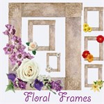 Floral Frames