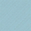 schbpaper11