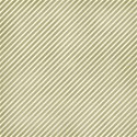 scehpaper5