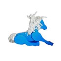 pony