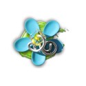 flower2