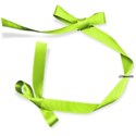 ribbon2