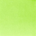 bgsolidgreen