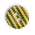 button1