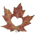 SChua_AutumnalLove_leafheart copy