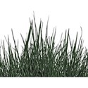 grassingreener