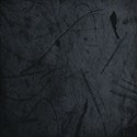 _bg53
