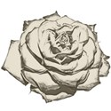 rose_cutout