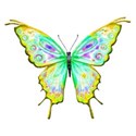 mariposa 3