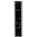 filmstrip