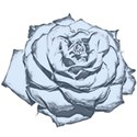 rose_cutout