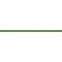 ScrapSis_Elem_GreenRibbon