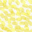 jThompson_jelly_paper4