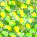 jThompson_jelly_paper5