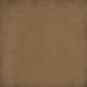 cala_chocolatemouse_paper
