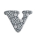 vv