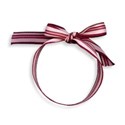 SChua_InLove_ribbon1