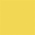 yellowsolid_pp_mikkilivanos