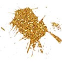 splat2