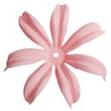 Sscraps_ILW_pink flower
