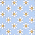 DAISIES LG 12X12 GE