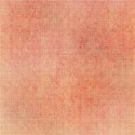 Muted_Floral_Grunge_by_DLS_Designs_Paper4