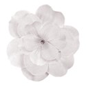 WHITE-FLOWER copy