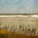 DS_BeachArt_Paper1A