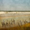 DS_BeachArt_Paper1B