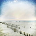 DS_BeachArt_Paper3B