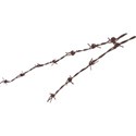 barbed-wire tt