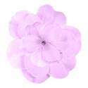 lt violet flower dd