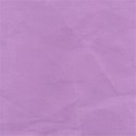 u Purple_dd Solid