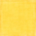 stierney_basicallybright (1)