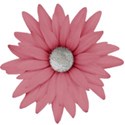 BOS flower01