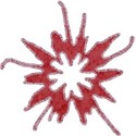 BOS glitter