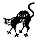 scary cat