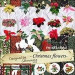 Carmensita Kit - Christmas Flowers 20 different!