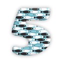 5