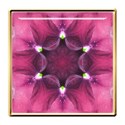 jThompson_pinkplums_element1