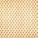 lil pumpkin_orange pumpkin dots