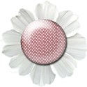 WHT-ROSE-POLKA-BRD-GE