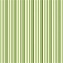 olive stripes td