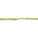 ribbon 300 sjdf