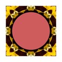 jThompson_yellowPansy_frame2