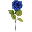 flower blue a