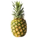 fruit pineapple c