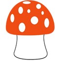 mushroom orange a