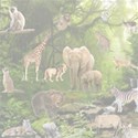 Jungle with animals exposure 60