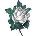 treasure_0000_rose